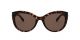 Versace For Her sunglasses with a HAVANA Acetate frame and DARK BROWN lens.  Lens width is 55mm with model number 0VE4389.