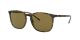 Ray Ban 0RB4387 710/73 56 HAVANA DARK BROWN Injected Man size 56 sunglasses